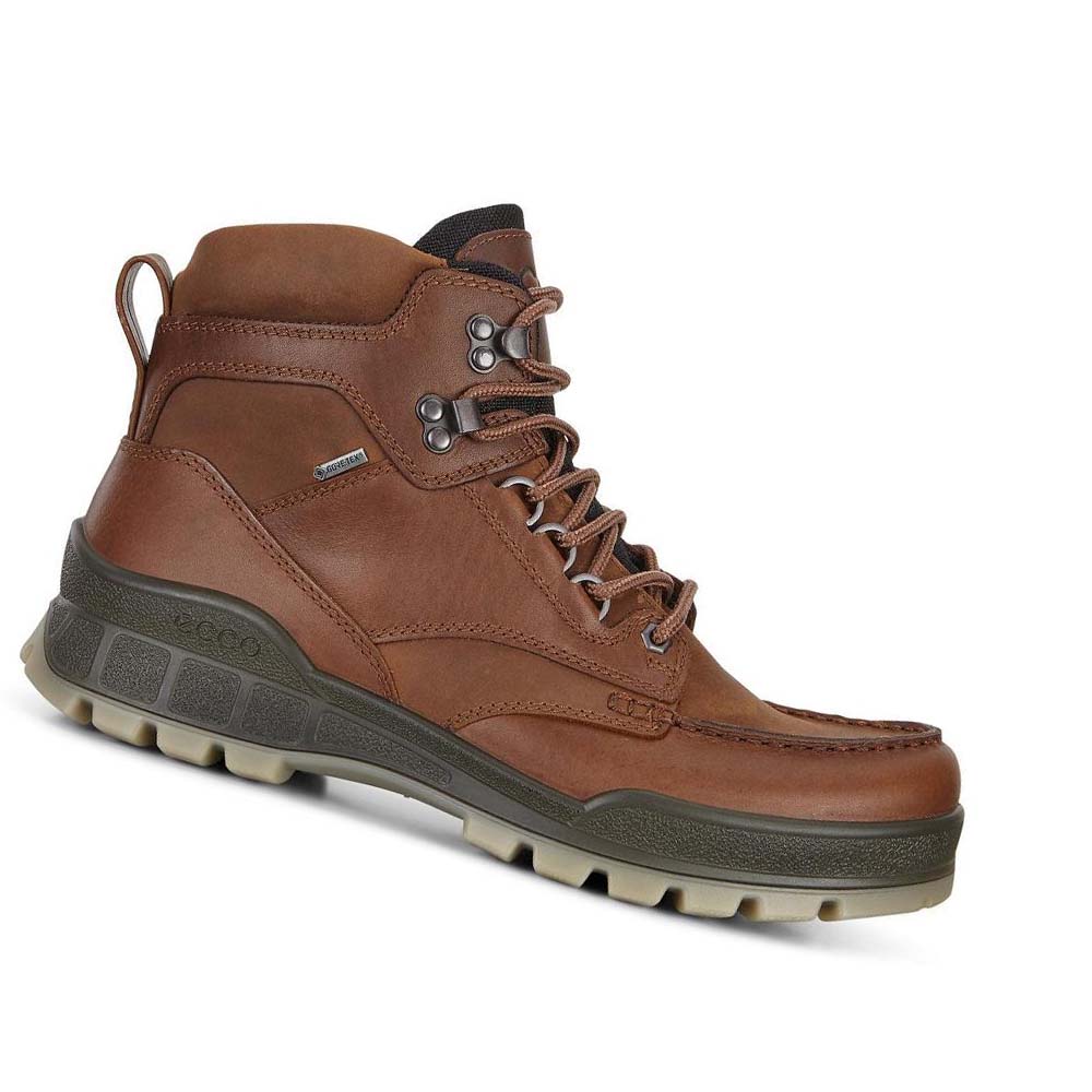 Ecco Track 25 High Hiking & Trail Herr Kaffe | SE 571FDN